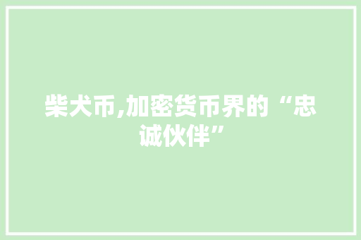 柴犬币,加密货币界的“忠诚伙伴”