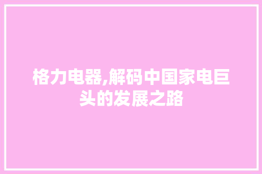 格力电器,解码中国家电巨头的发展之路