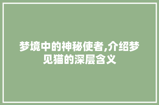 梦境中的神秘使者,介绍梦见猫的深层含义