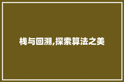 栈与回溯,探索算法之美