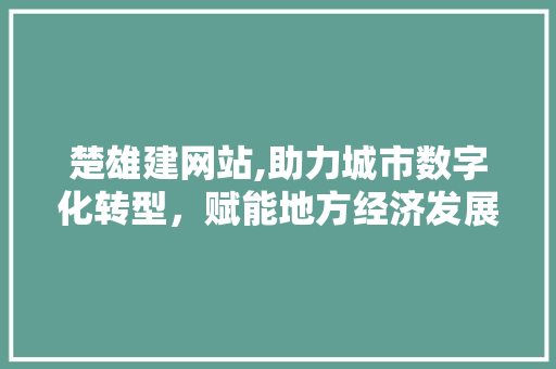 楚雄建网站,助力城市数字化转型，赋能地方经济发展