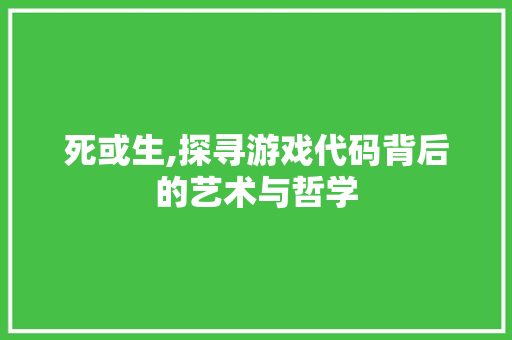 死或生,探寻游戏代码背后的艺术与哲学 必应SEO