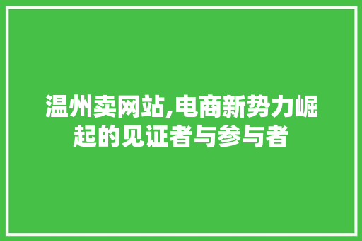 温州卖网站,电商新势力崛起的见证者与参与者