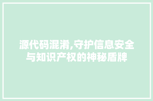 源代码混淆,守护信息安全与知识产权的神秘盾牌 网站建设公司
