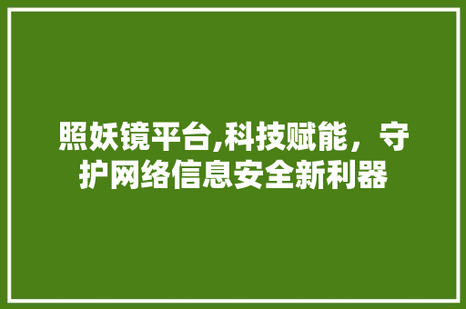 照妖镜平台,科技赋能，守护网络信息安全新利器