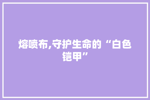熔喷布,守护生命的“白色铠甲”