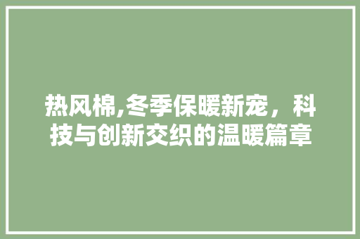 热风棉,冬季保暖新宠，科技与创新交织的温暖篇章 百度SEO