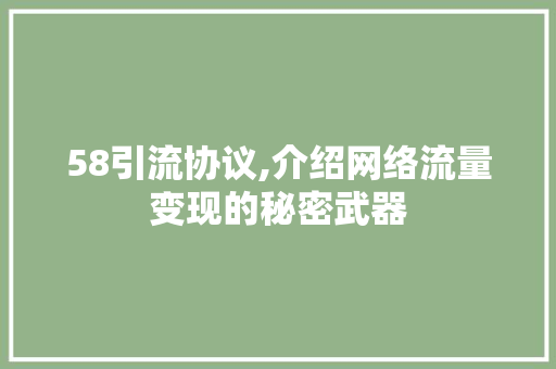 58引流协议,介绍网络流量变现的秘密武器