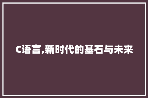 C语言,新时代的基石与未来