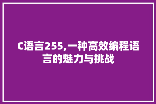 C语言255,一种高效编程语言的魅力与挑战