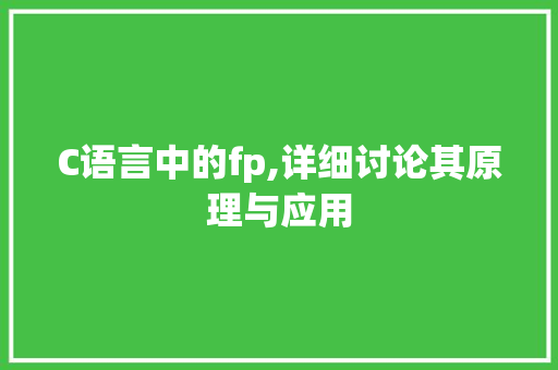 C语言中的fp,详细讨论其原理与应用 网站建设公司