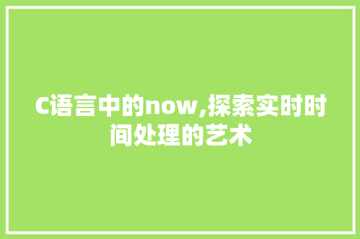 C语言中的now,探索实时时间处理的艺术 网站建设公司