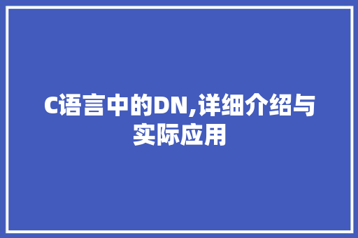C语言中的DN,详细介绍与实际应用 网站建设公司