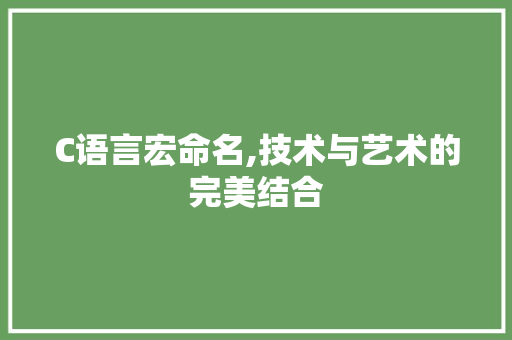 C语言宏命名,技术与艺术的完美结合 网站建设公司
