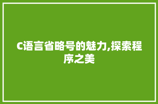 C语言省略号的魅力,探索程序之美 百度SEO