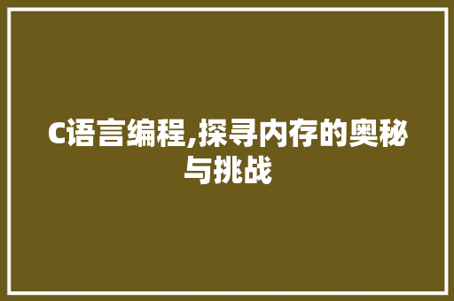C语言编程,探寻内存的奥秘与挑战 神马SEO