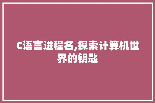 C语言进程名,探索计算机世界的钥匙 必应SEO