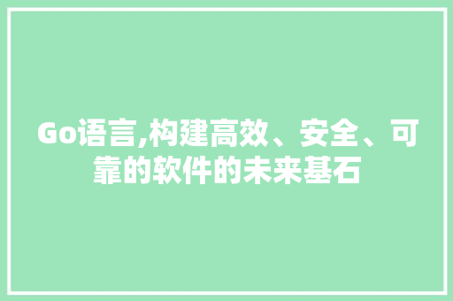 Go语言,构建高效、安全、可靠的软件的未来基石