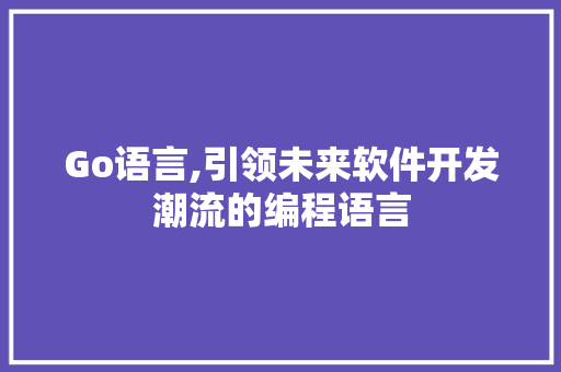Go语言,引领未来软件开发潮流的编程语言