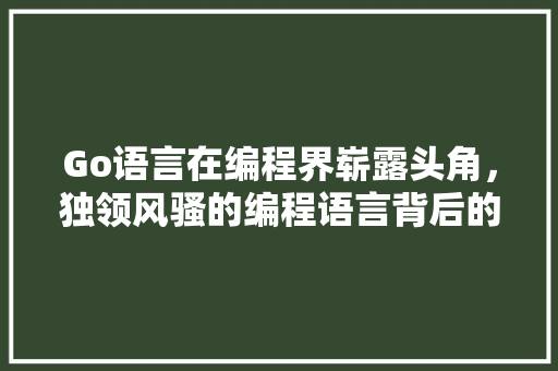 Go语言在编程界崭露头角，独领风骚的编程语言背后的故事
