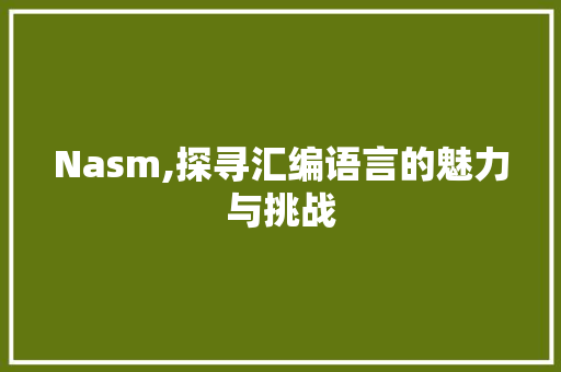 Nasm,探寻汇编语言的魅力与挑战