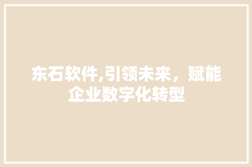 东石软件,引领未来，赋能企业数字化转型