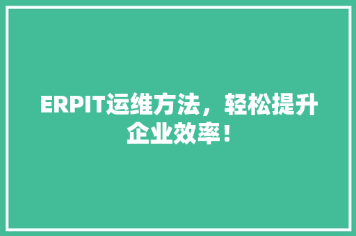 ERPIT运维方法，轻松提升企业效率！