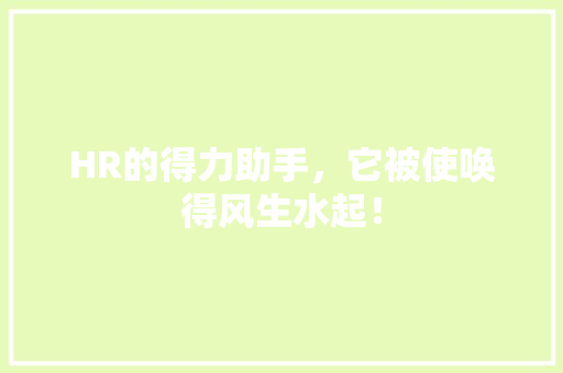 HR的得力助手，它被使唤得风生水起！ 网站建设公司