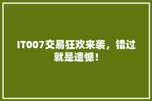 IT007交易狂欢来袭，错过就是遗憾！ 百度SEO