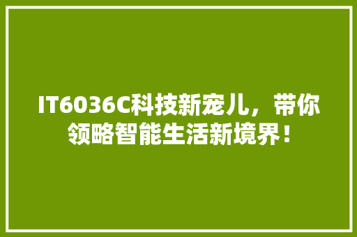 IT6036C科技新宠儿，带你领略智能生活新境界！