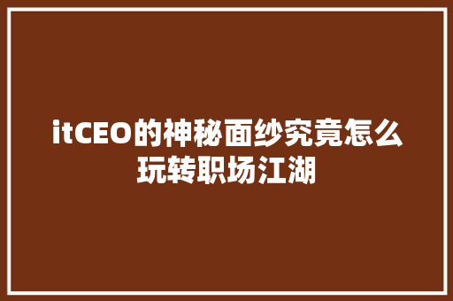 itCEO的神秘面纱究竟怎么玩转职场江湖