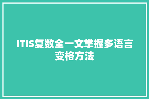 ITIS复数全一文掌握多语言变格方法 SEO关键词
