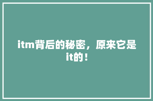 itm背后的秘密，原来它是it的！