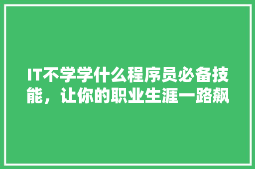 IT不学学什么程序员必备技能，让你的职业生涯一路飙升！