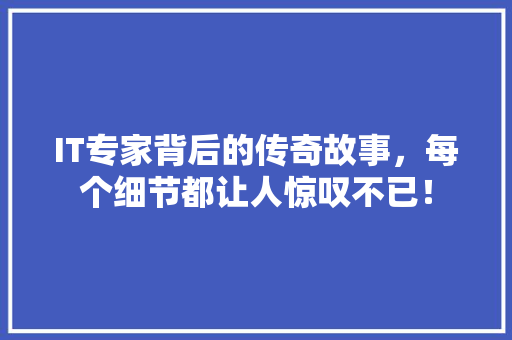 IT专家背后的传奇故事，每个细节都让人惊叹不已！