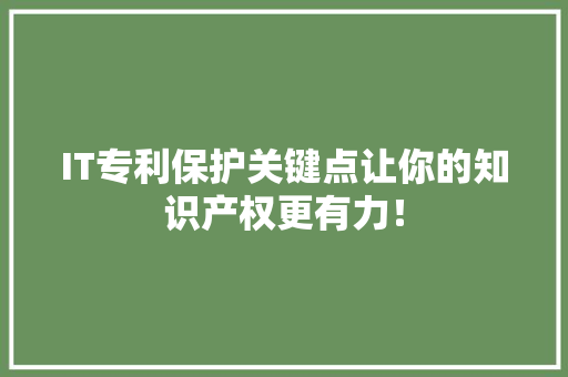 IT专利保护关键点让你的知识产权更有力！ SEO关键词