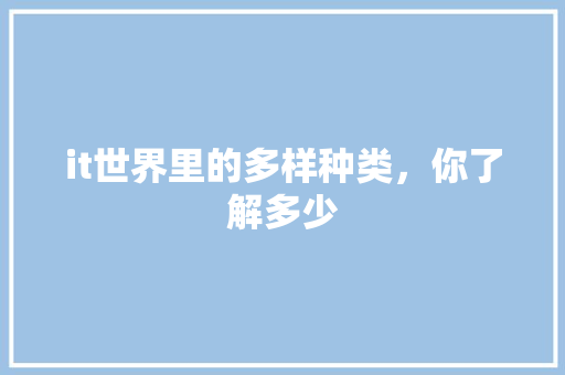 it世界里的多样种类，你了解多少 SEO关键词