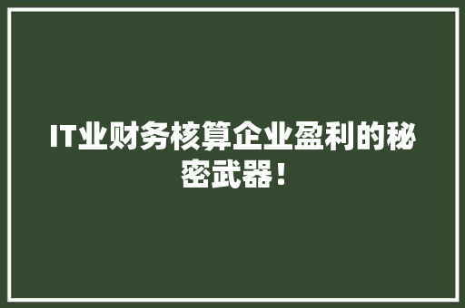IT业财务核算企业盈利的秘密武器！ SEO关键词