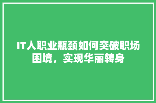 IT人职业瓶颈如何突破职场困境，实现华丽转身