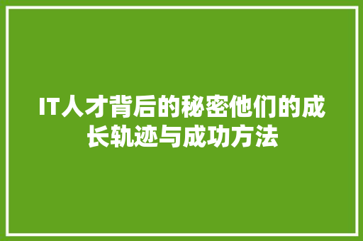 IT人才背后的秘密他们的成长轨迹与成功方法 神马SEO
