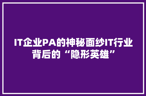IT企业PA的神秘面纱IT行业背后的“隐形英雄”