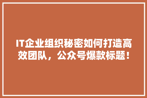 IT企业组织秘密如何打造高效团队，公众号爆款标题！ SEO关键词