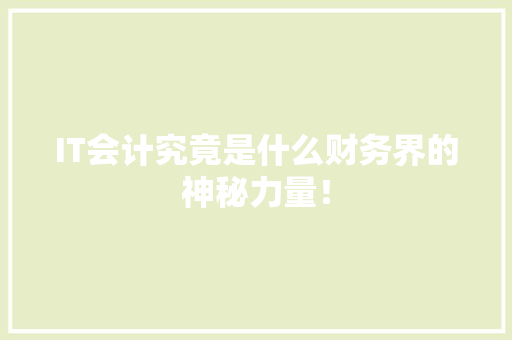 IT会计究竟是什么财务界的神秘力量！ 必应SEO