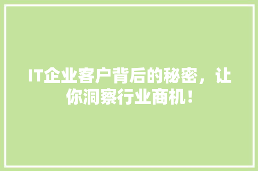 IT企业客户背后的秘密，让你洞察行业商机！