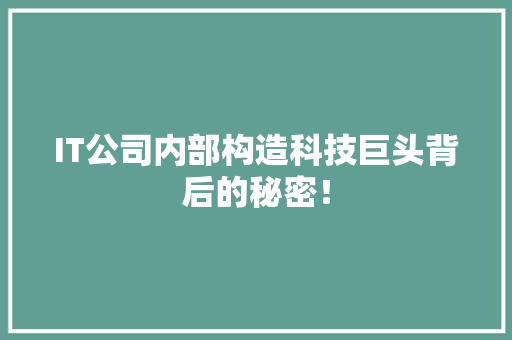 IT公司内部构造科技巨头背后的秘密！