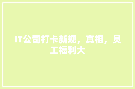 IT公司打卡新规，真相，员工福利大