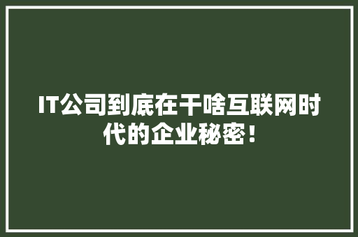 IT公司到底在干啥互联网时代的企业秘密！