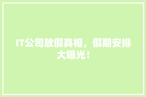 IT公司放假真相，假期安排大曝光！