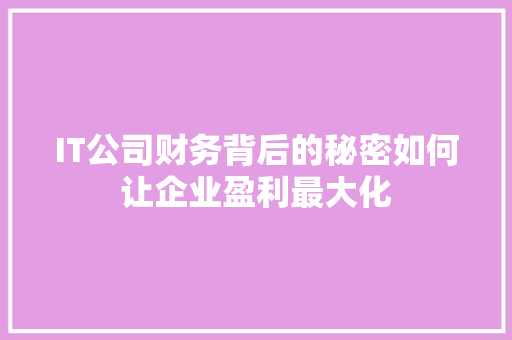 IT公司财务背后的秘密如何让企业盈利最大化 神马SEO