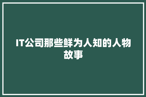 IT公司那些鲜为人知的人物故事